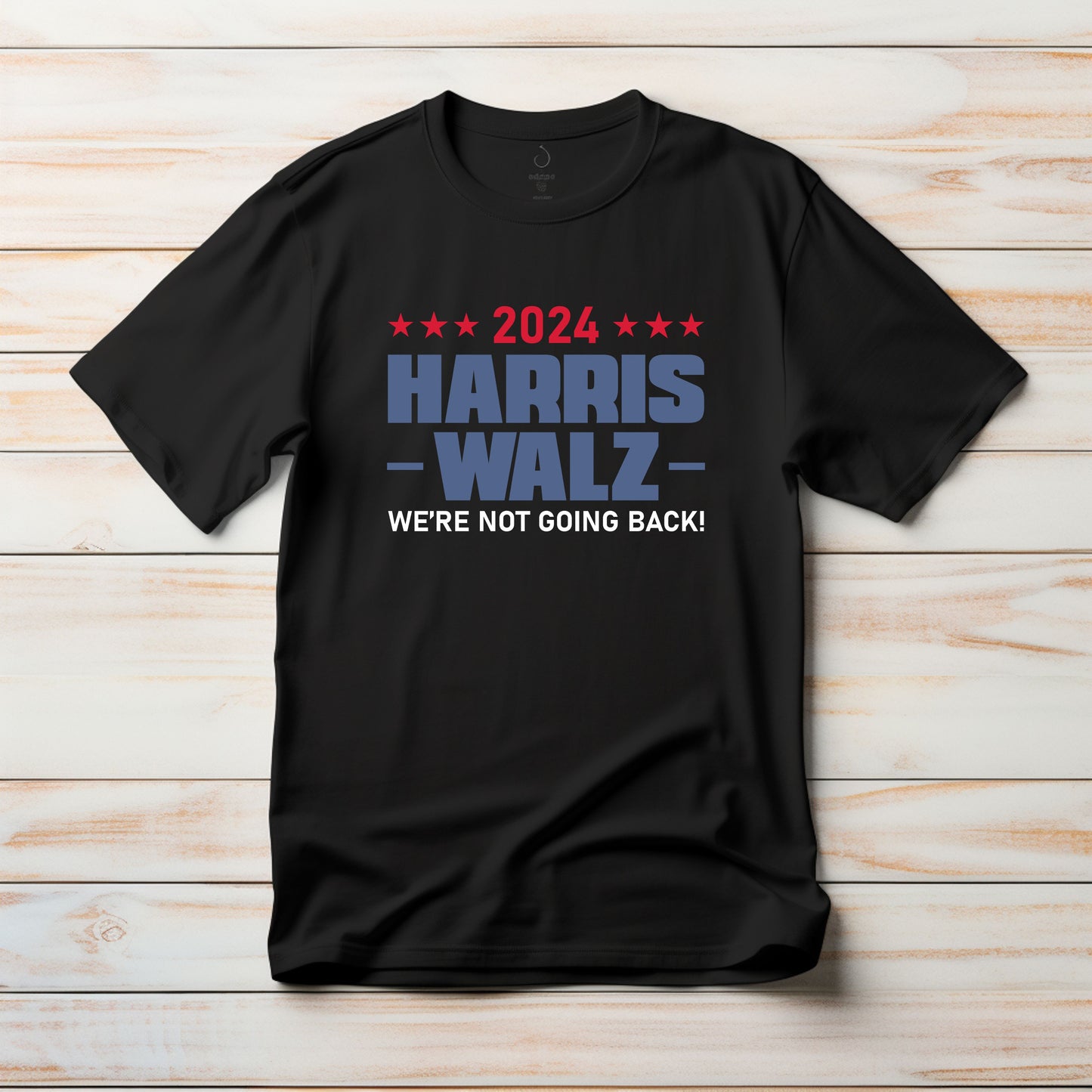 2024 Harris Walz We Are Not Going Back | Empowerment, Equality, Vote for Change T-Shirt