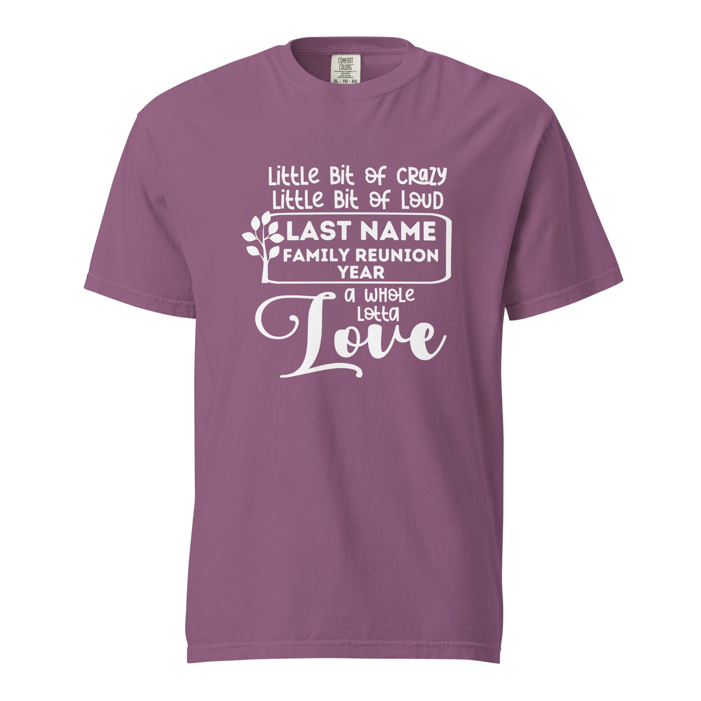 Family A Little Bit Of Crazy A Little Bit Of Loud Shirt | Custom Last Name & Year 2024 | Personalized Family Reunion Tees