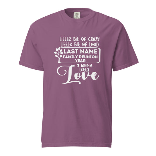 Family A Little Bit Of Crazy A Little Bit Of Loud Shirt | Custom Last Name & Year 2024 | Personalized Family Reunion Tees