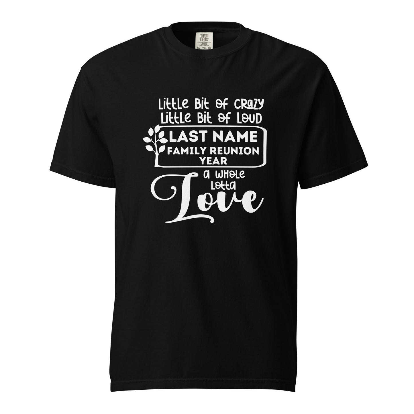 Family A Little Bit Of Crazy A Little Bit Of Loud Shirt | Custom Last Name & Year 2024 | Personalized Family Reunion Tees