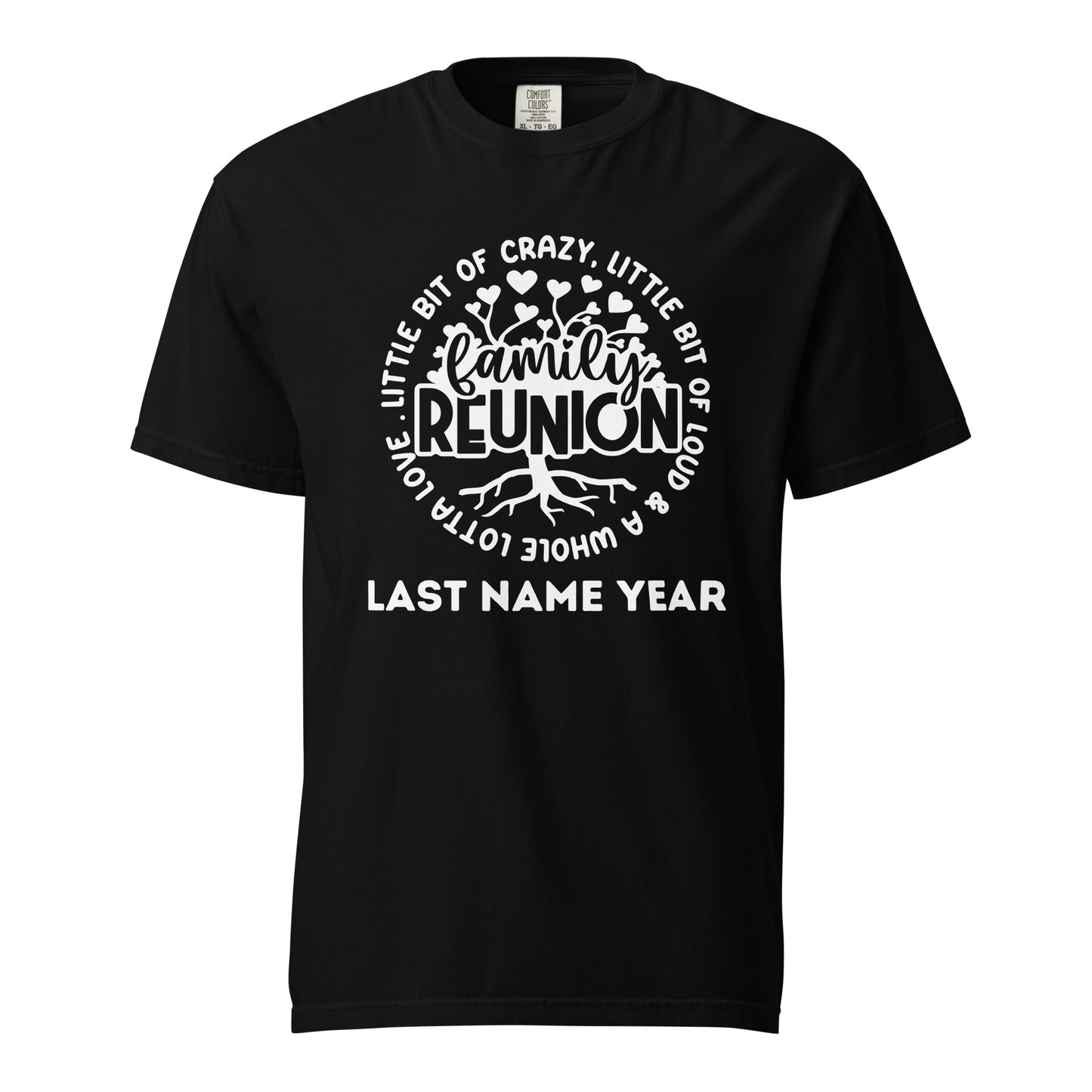 Custom Last Name 2024 Family Reunion T-Shirt | Personalized Family Gathering Tees | Unique Reunion Souvenirs