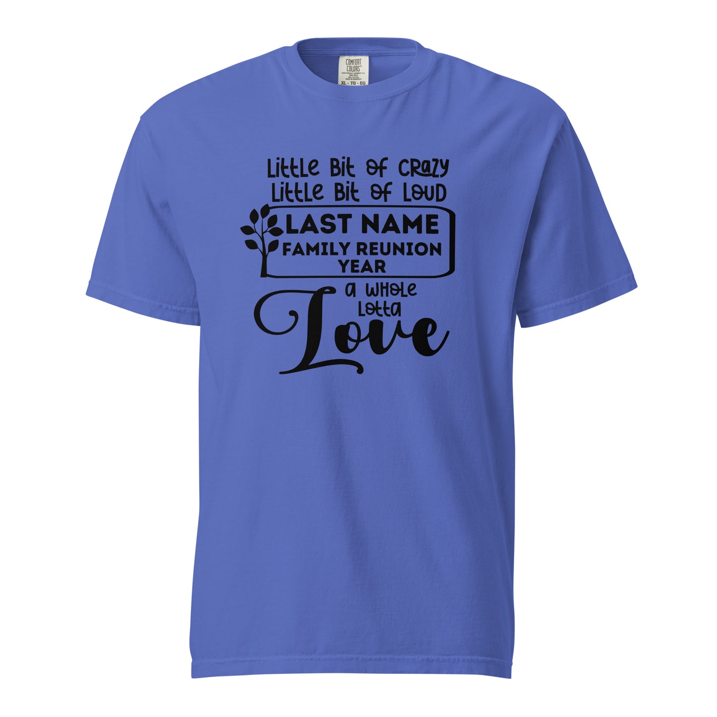 Family A Little Bit Of Crazy A Little Bit Of Loud Shirt | Custom Last Name & Year 2024 | Personalized Family Reunion Tees