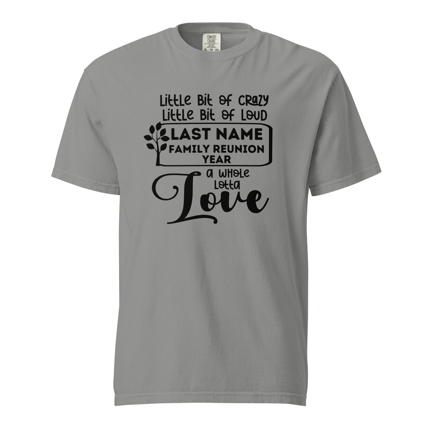 Family A Little Bit Of Crazy A Little Bit Of Loud Shirt | Custom Last Name & Year 2024 | Personalized Family Reunion Tees