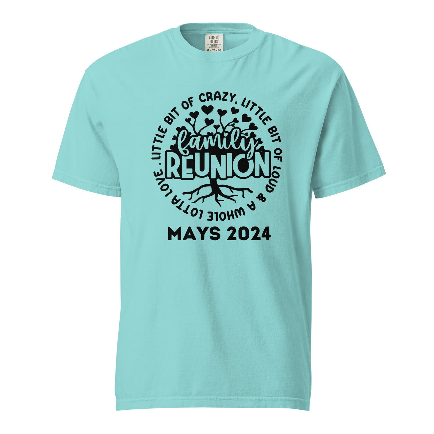 Custom Last Name 2024 Family Reunion T-Shirt | Personalized Family Gathering Tees | Unique Reunion Souvenirs