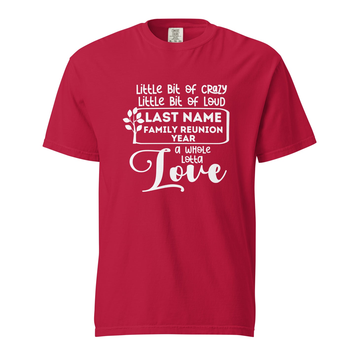 Family A Little Bit Of Crazy A Little Bit Of Loud Shirt | Custom Last Name & Year 2024 | Personalized Family Reunion Tees