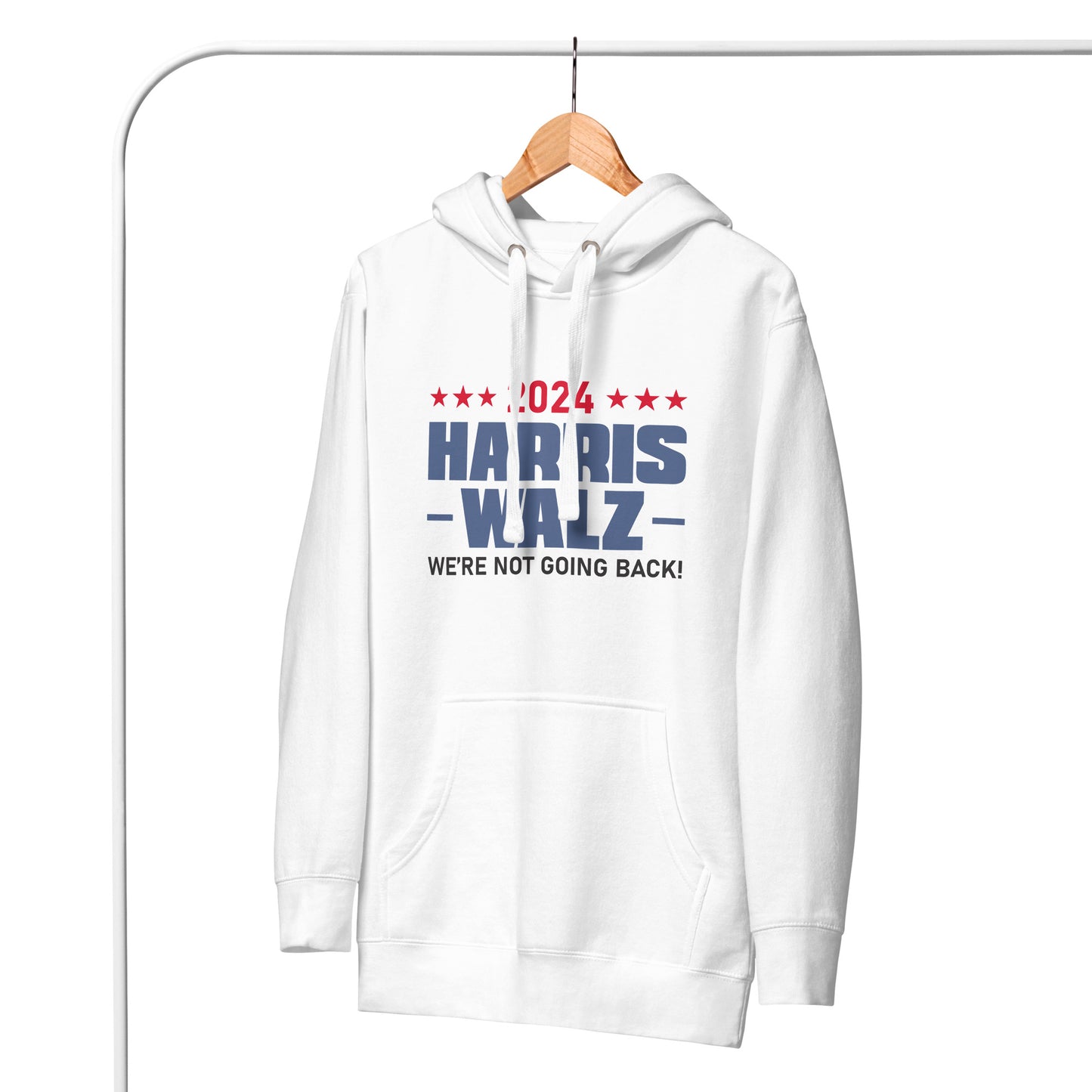 2024 Harris Walz We Are Not Going Back | Voting Rights, Social Justice, Equality Hoodie (2)