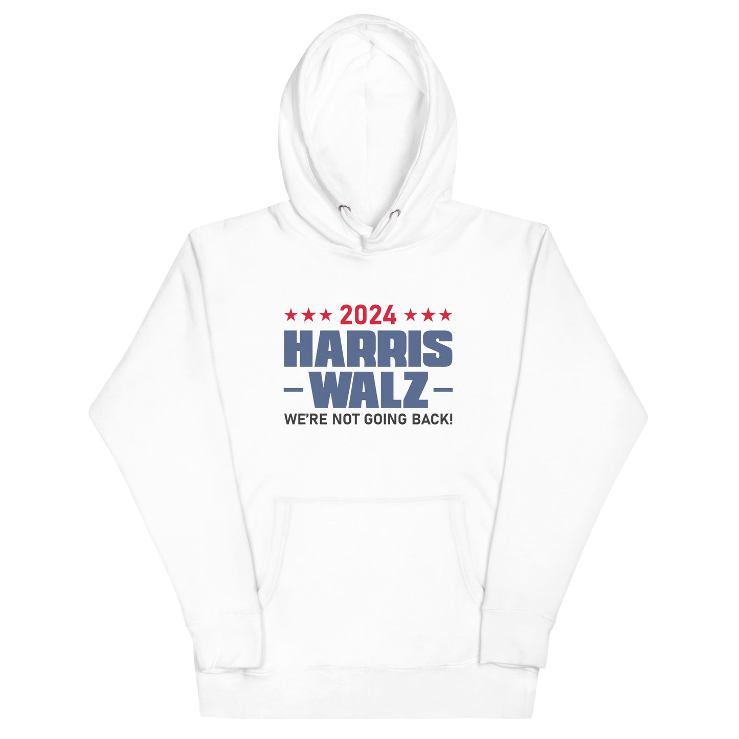 2024 Harris Walz We Are Not Going Back | Voting Rights, Social Justice, Equality Hoodie (2)